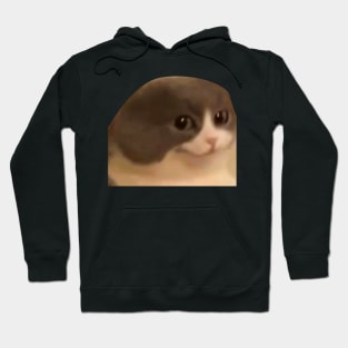 Smooth Cat judging YOU ! Hoodie